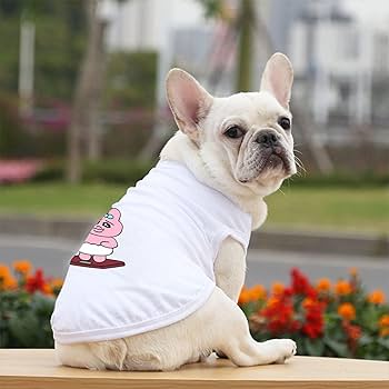 Amazon | MABJI 犬の服 Tシャツ ペット服 タンクトップ 袖なし